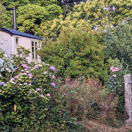 The Applehay Villa Constantine Exteriör bild