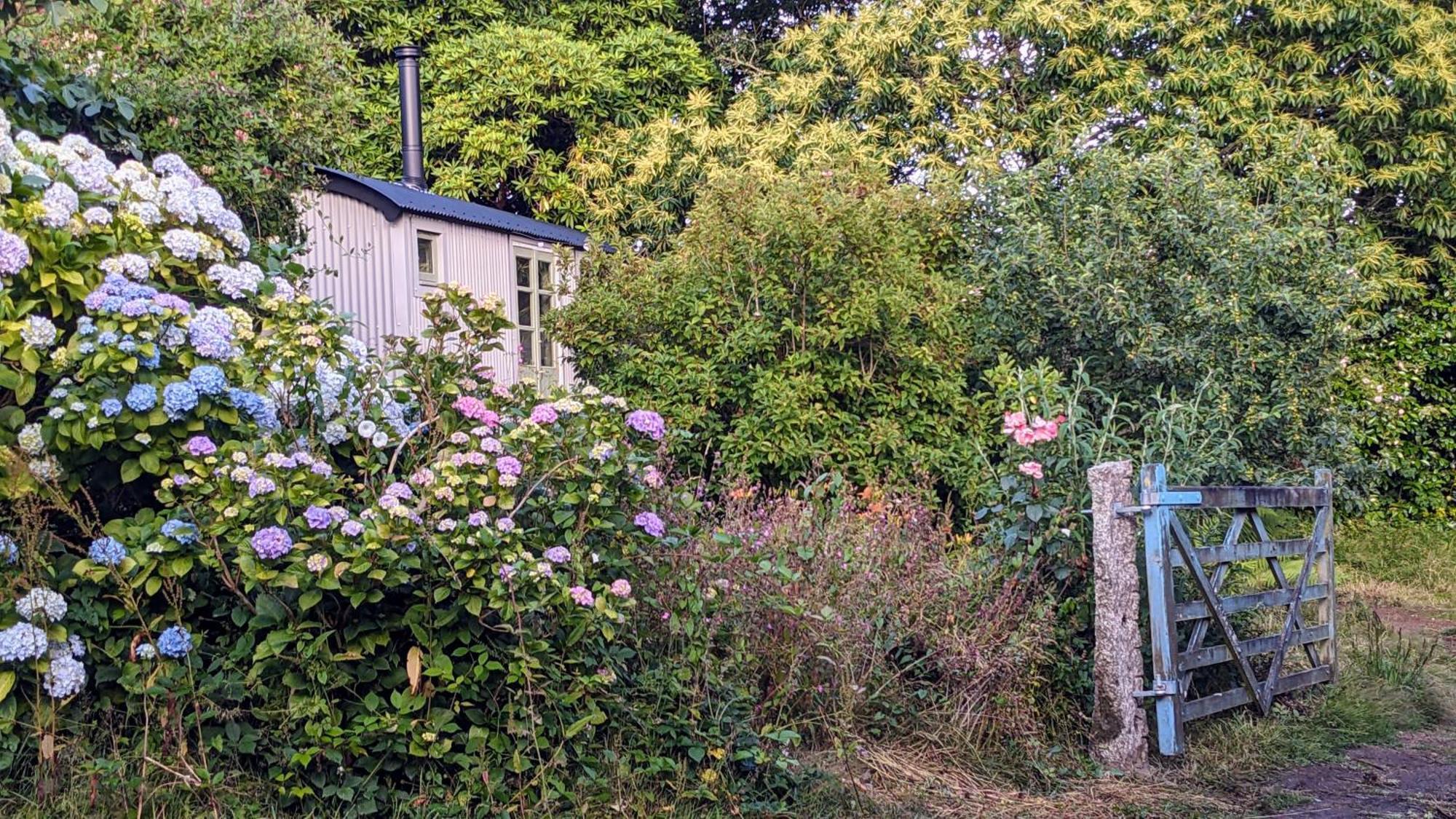 The Applehay Villa Constantine Exteriör bild
